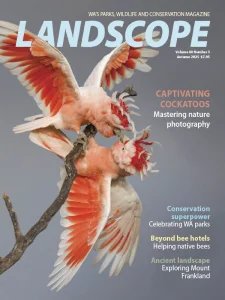 LANDSCOPE - Autumn 2025