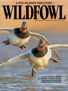 Wildfowl - 12/01 2026
