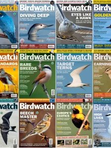 Birdwatch - 2023 Full Year