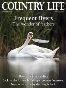 Country Life UK - 02.18.2026