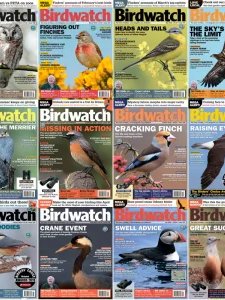 Birdwatch - 2020 Full Year