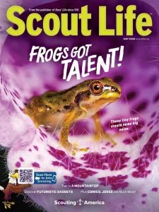 Scout Life - 05.2026