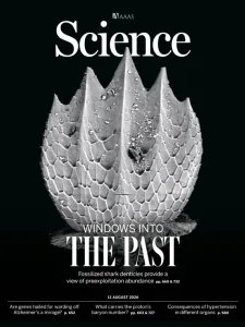 Science - 13.08.2026