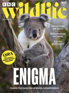 BBC Wildlife - 01.2026