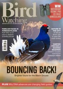Bird Watching UK - 04.2026