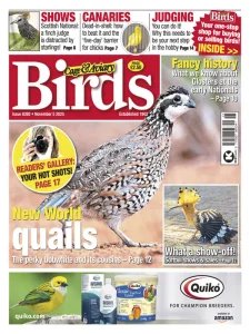 Cage & Aviary Birds - 11.5.2025