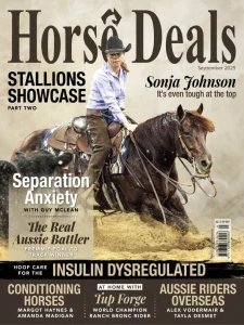 Horse Deals - 09.2025