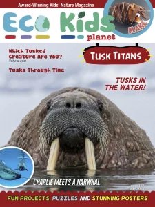 Eco Kids Planet - 05.2025