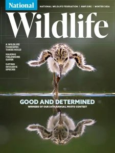 National Wildlife - Winter 2025-26