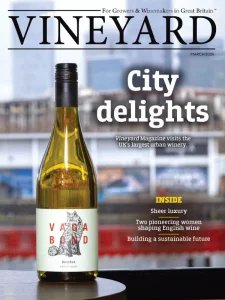 Vineyard - 03.2026