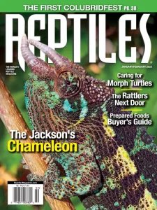 Reptiles - 01/02 2025