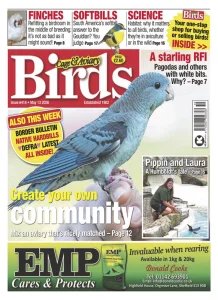 Cage & Aviary Birds - 13.05.2026