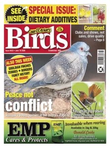 Cage & Aviary Birds - 10.06.2026