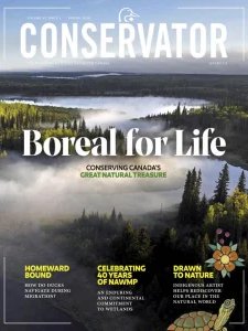 Conservator - Spring 2026