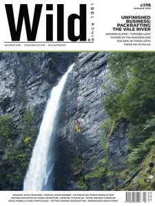 Wild - Summer 2025