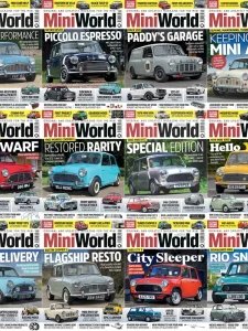 Mini World - 2024 Full Year