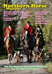 Northern Horse - 03.2026