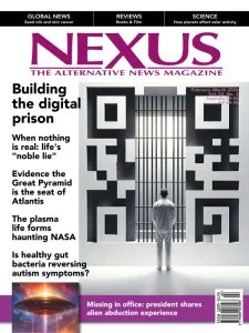 Nexus - 02/03 2026