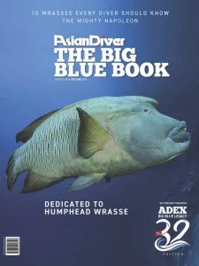 Asian Diver - Vol 173 2026