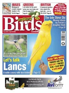 Cage & Aviary Birds - 22.04.2026