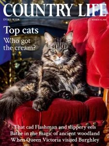 Country Life UK - 03.25.2026