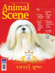 Animal Scene - 02.2018