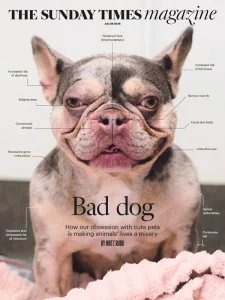 The Sunday Times Magazine - 26.07.2026