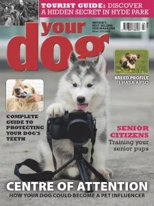 Your Dog - 03.2025
