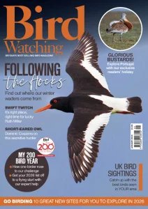 Bird Watching UK - 01.2026