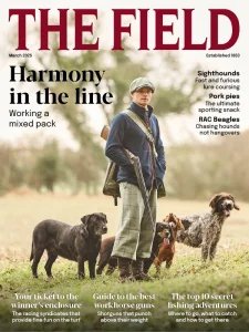 The Field - 03.2025