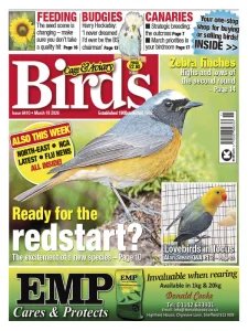 Cage & Aviary Birds - 18.03.2026