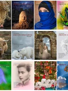 Photo Insights - 2015 Full Year