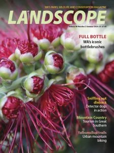LANDSCOPE - Summer 2025