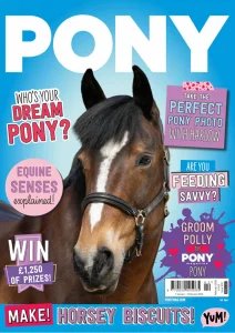 Pony - 02.2026