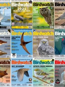 Birdwatch - 2022 Full Year