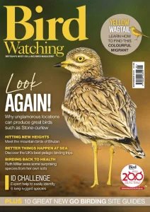 Bird Watching UK - 09.2025