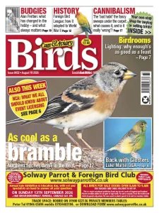 Cage & Aviary Birds - 19.08.2026