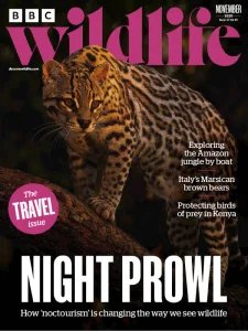 BBC Wildlife - 11.2025