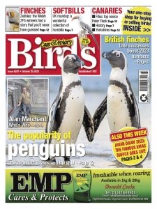 Cage & Aviary Birds - 25.10.2023