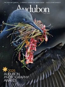 Audubon - Fall 2025