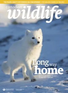 Canadian Wildlife - 11/12 2025