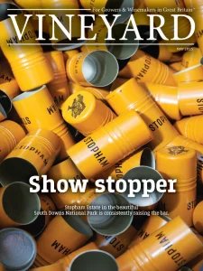 Vineyard - 05.2025