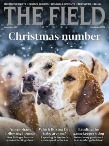 The Field - 12.2025