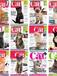 Your Cat - 2020 Full Year