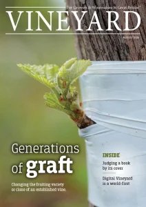Vineyard - 08.2026