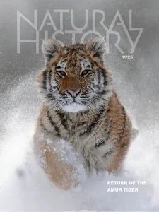 Natural History - 11.2025