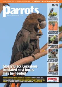 Parrots - 05.2026