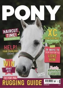 Pony - 10.2025