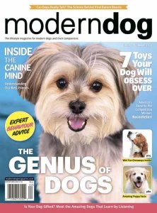 Modern Dog - Spring/Summer 2026