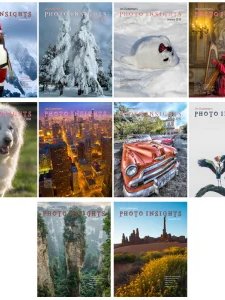 Photo Insights - 2016 Full Year Compilation